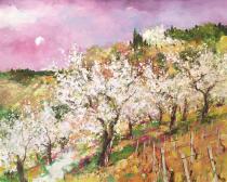 Le petit chemin dans les cerisiers